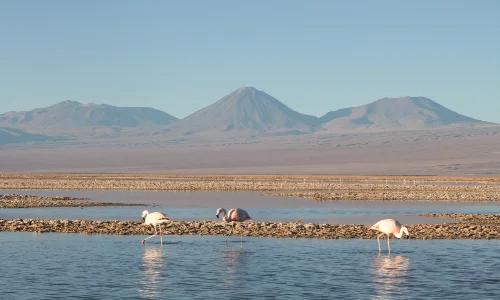 Salar-de-Atacama