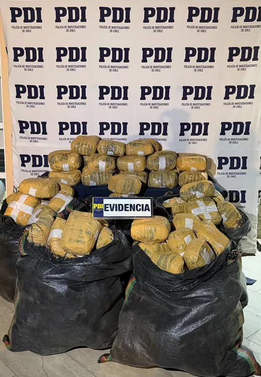 Evidencia San Pedrro PDI