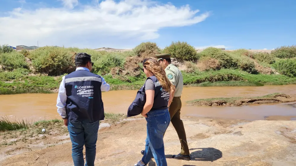 WhatsApp Image 2026-02-20 at 4.29.19 PM (2)