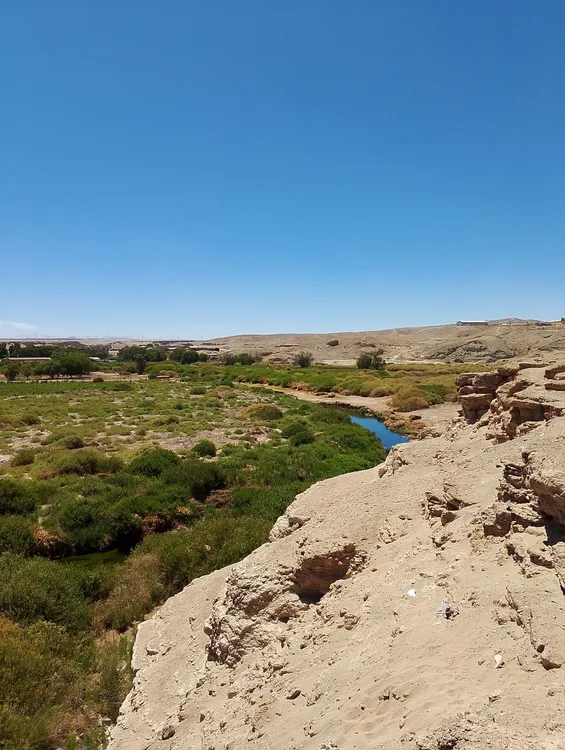 IMG_20251218_115217_225