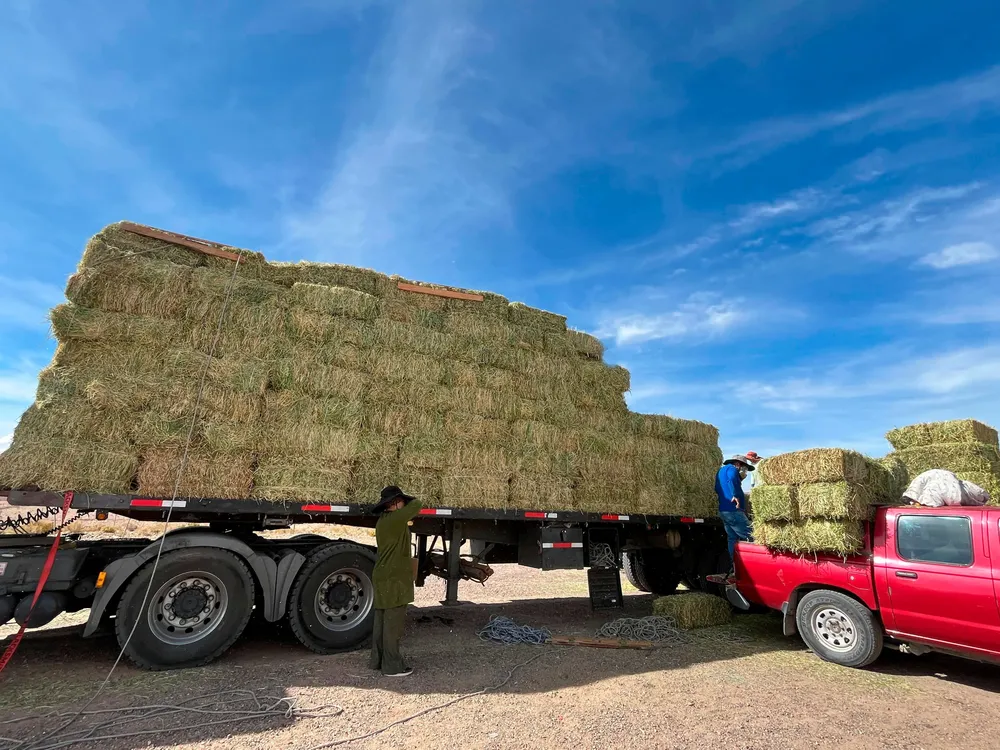 Entrega_Fardos_04 (1)