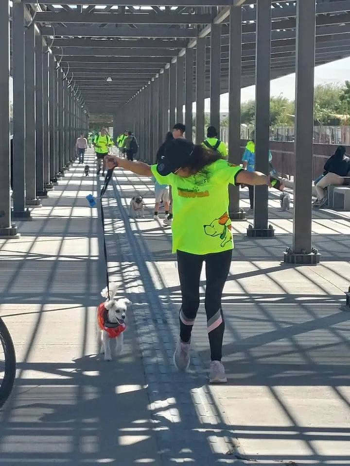 FB_IMG_1747689488242