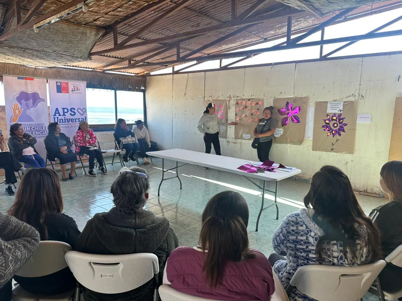 Mujeres min publico