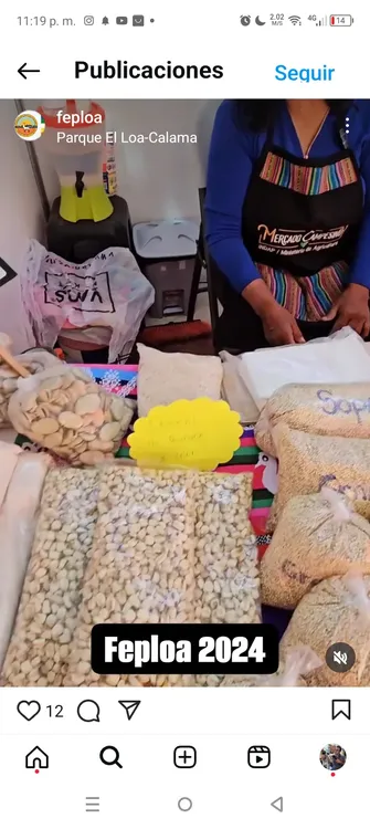 Screenshot_20250112-231946