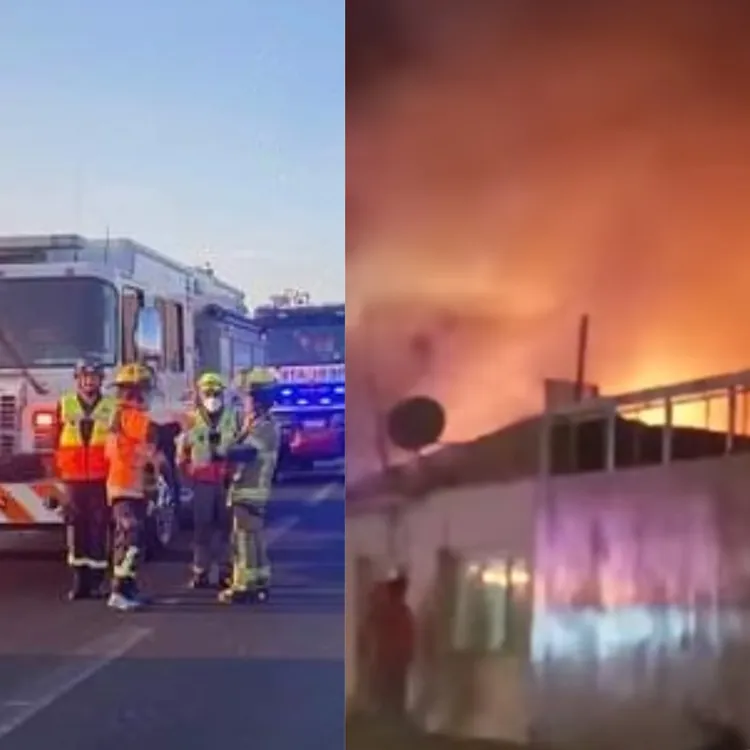 Adobe_Express_20240919_1430560_1