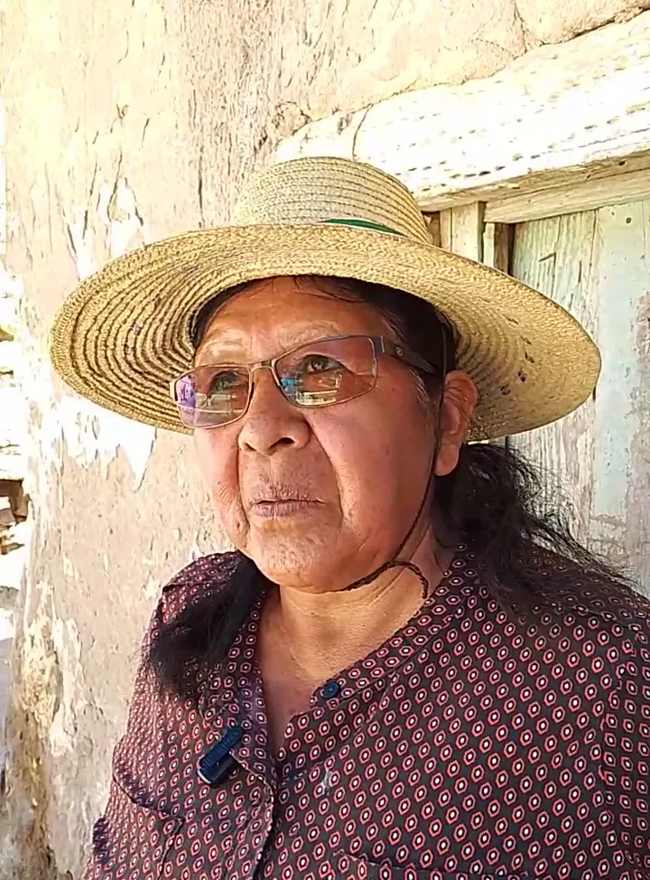 Screenshot_20250401-080841