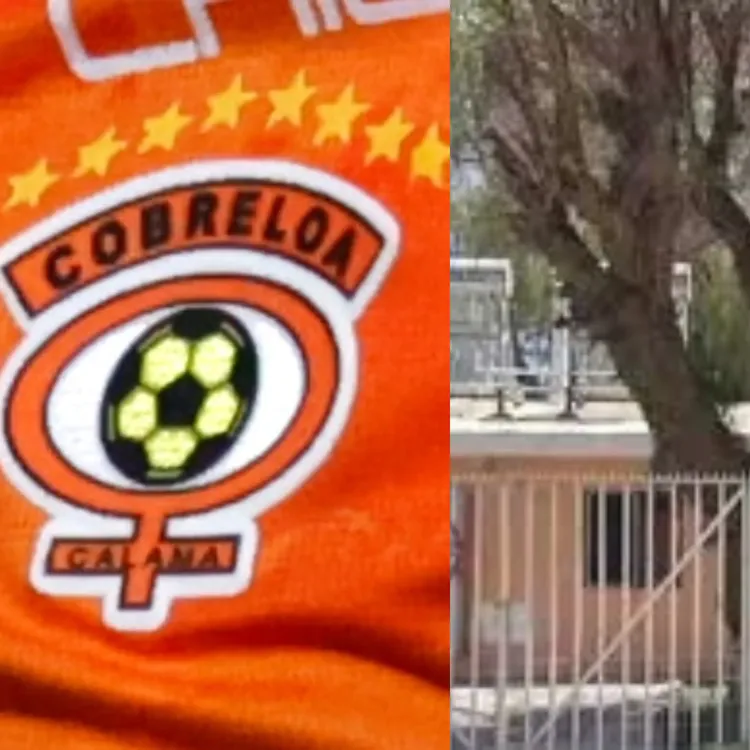 Adobe_Express_20241025_1804240_1