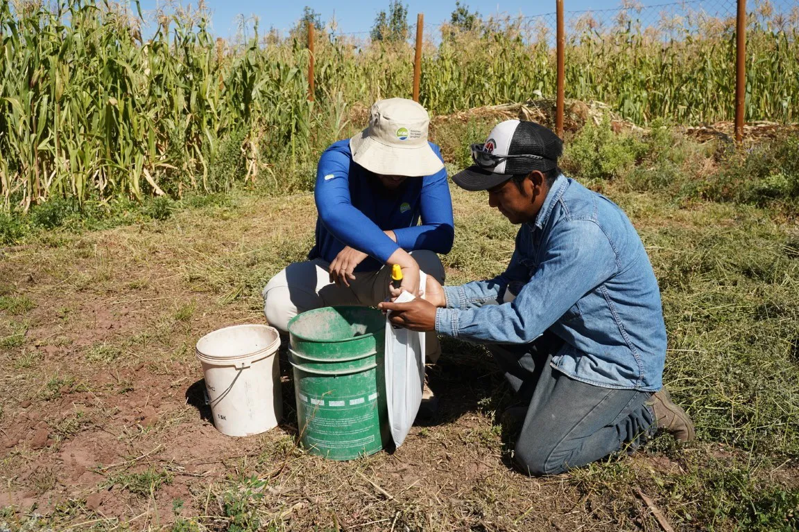 Toma_Muestras_Suelo_SQM