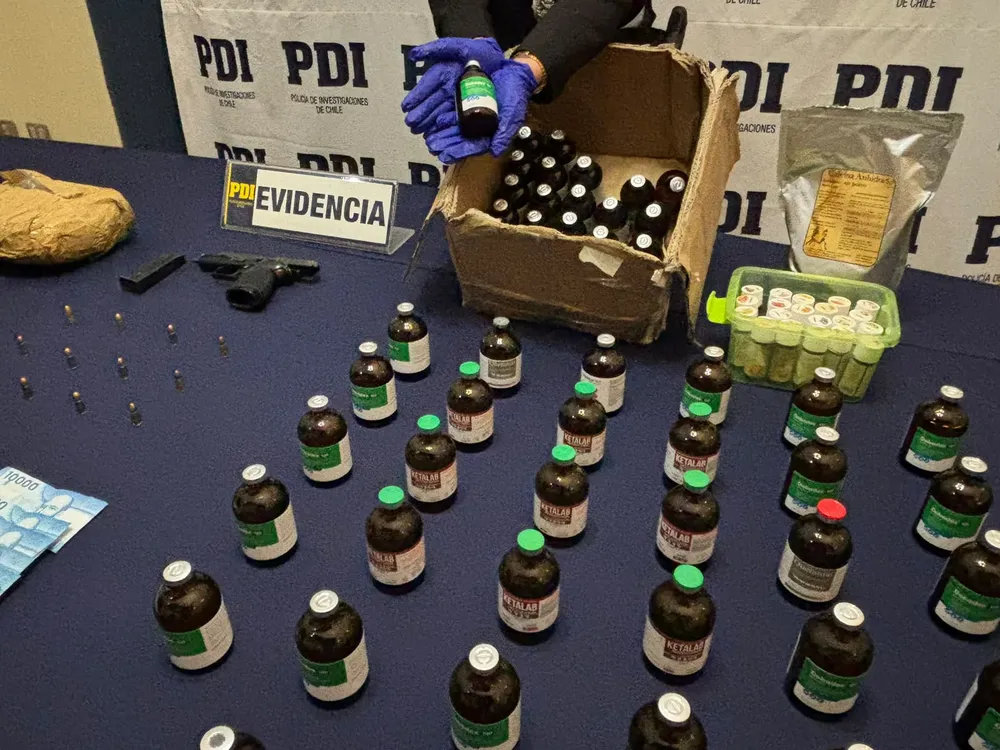 Arma de fuego y municiones