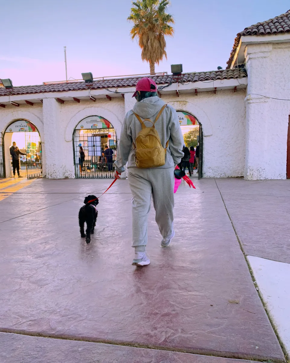paseo_perros_calama