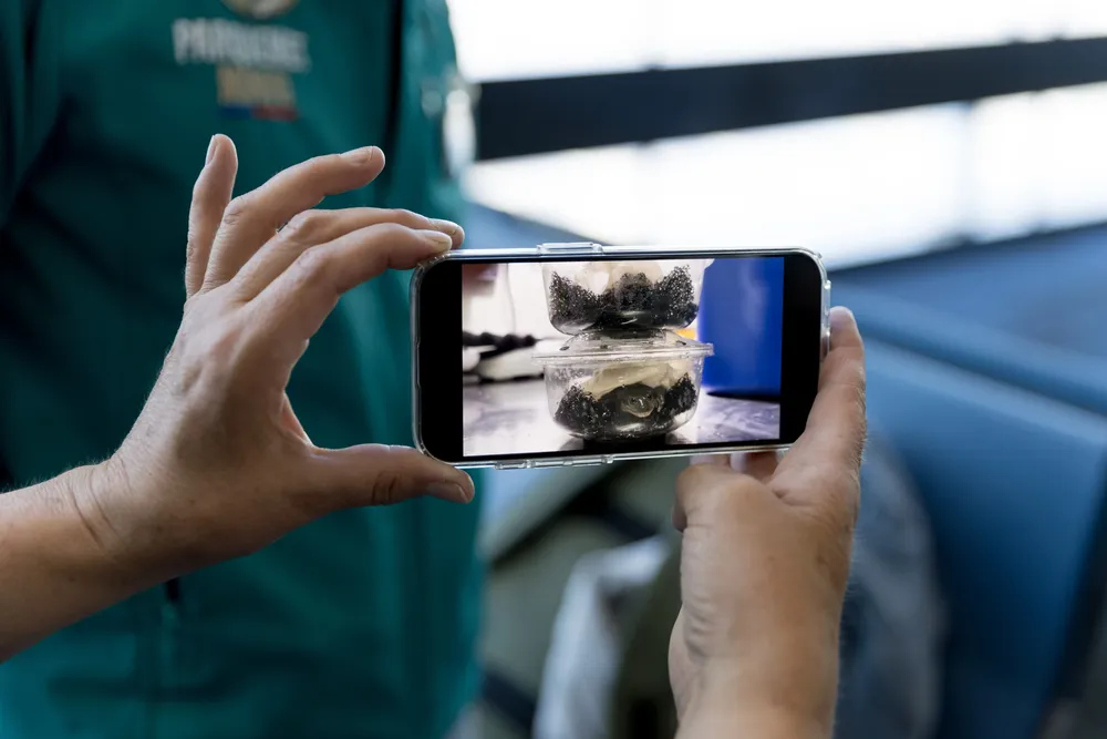 Codelco - Ranitas del Loa - Fotos por Fernanda Requena_0A8A7780