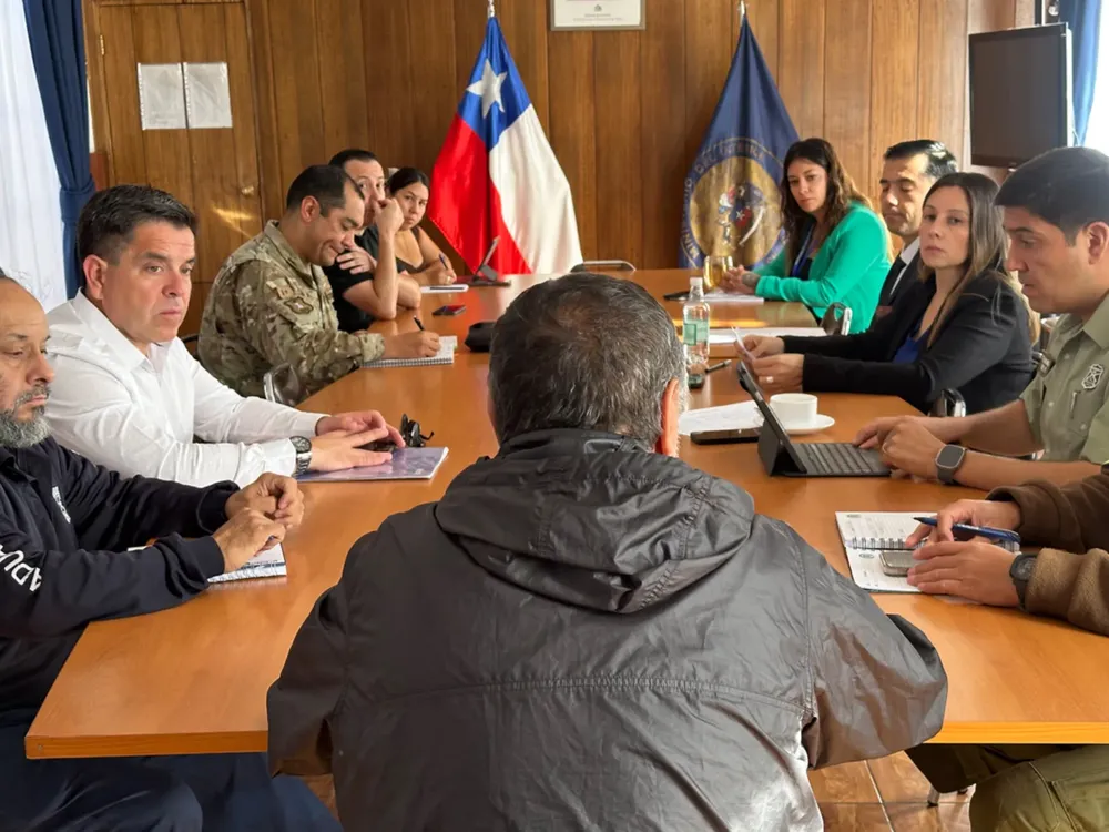 Comité Policial El Loa