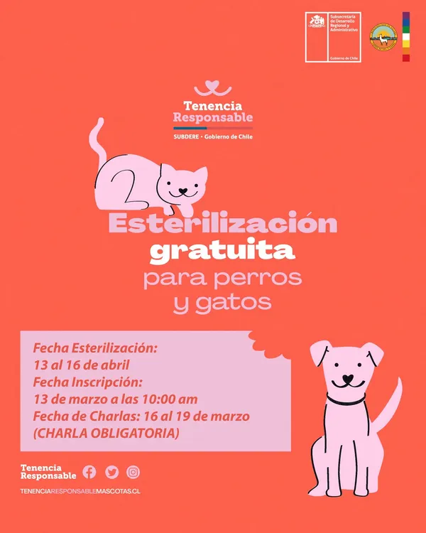 WhatsApp Image 2026-03-10 at 3.34.53 PM