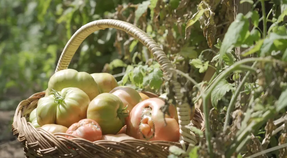 WhatsApp Image 2024-03-04 at 13.23.57