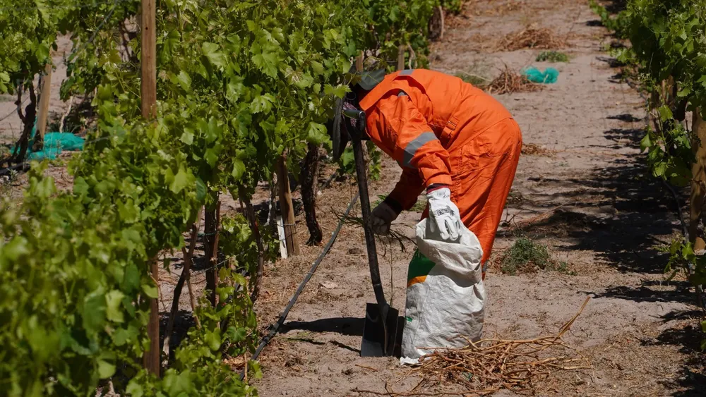 Agricultores_Apoyo_SQM_Litio