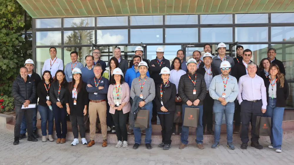 DRT_Gerencia Proyecto Lixiviacion Clorurada_02