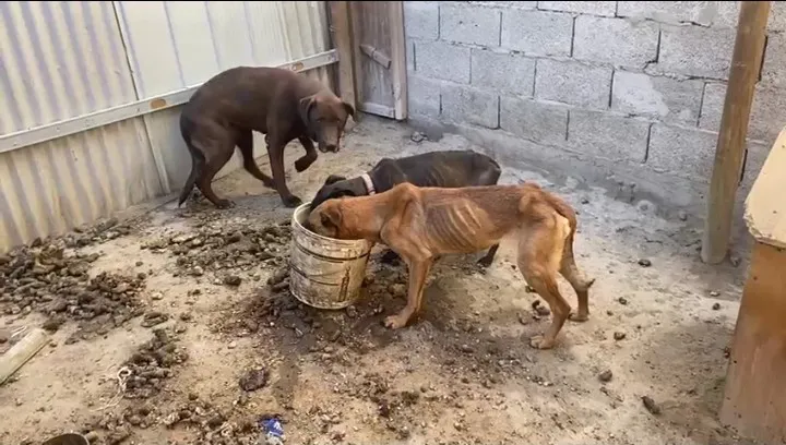 Screenshot_20250414-141828~2