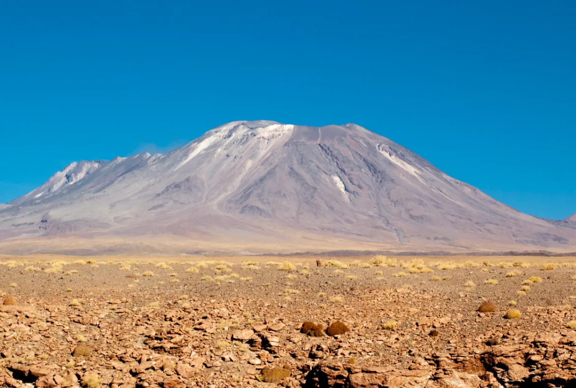 Láscar (2)