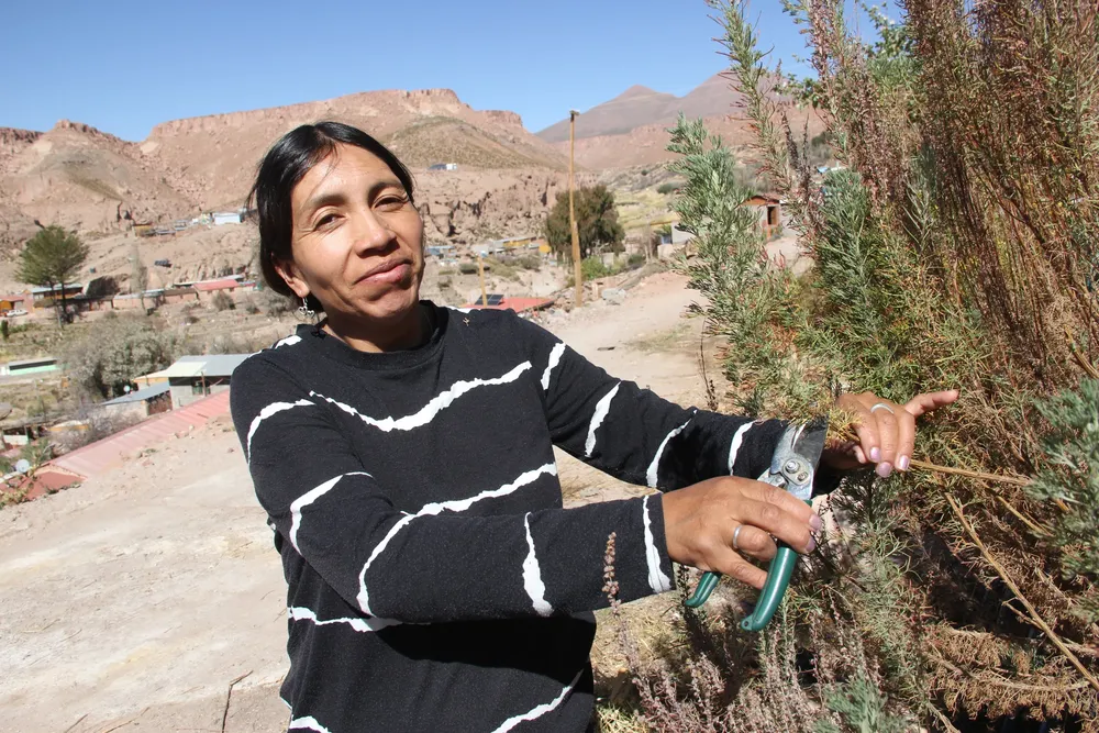 Fondo Agricola El Abra