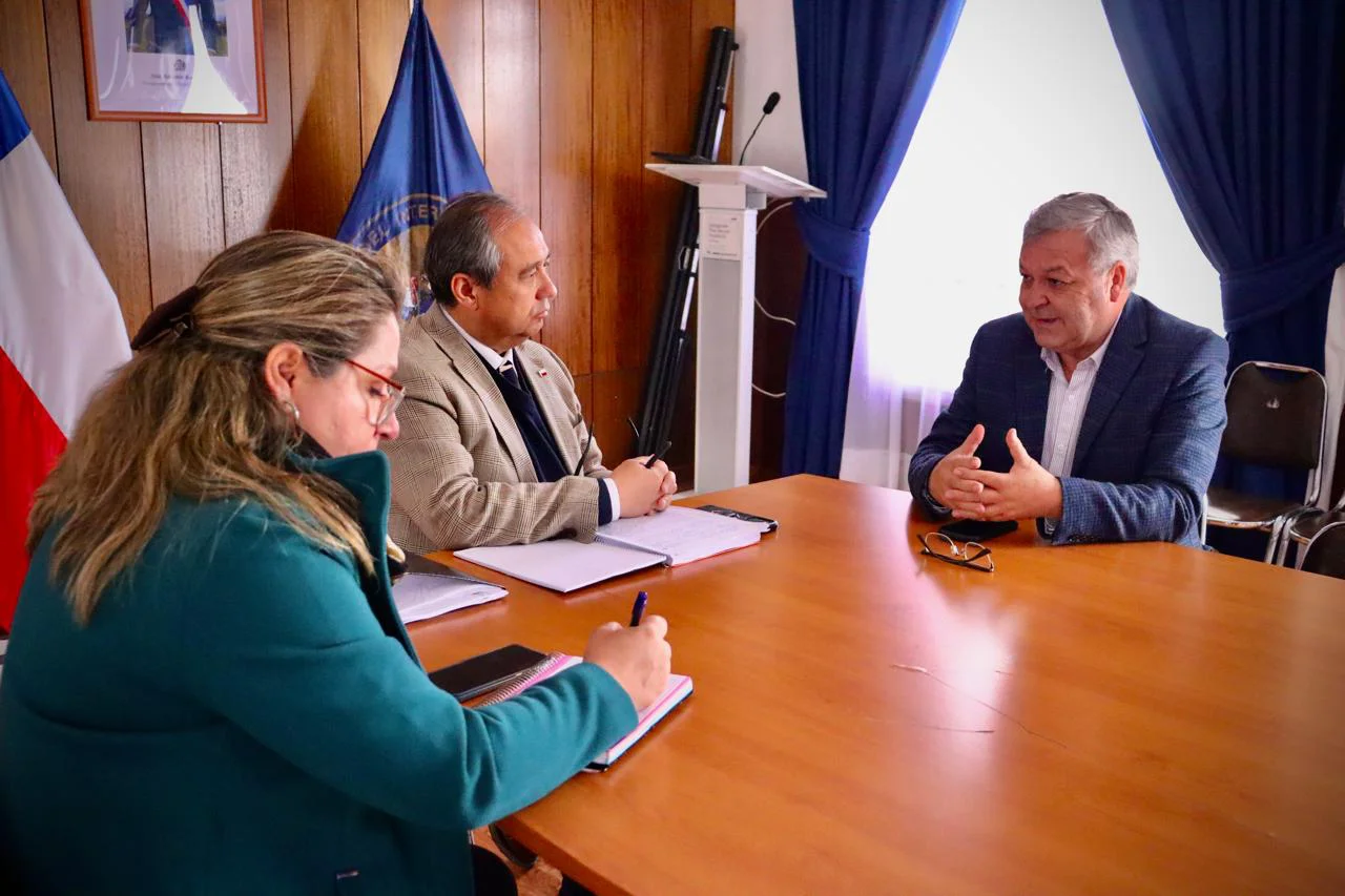 Servicio de Salud_Delegado El Loa