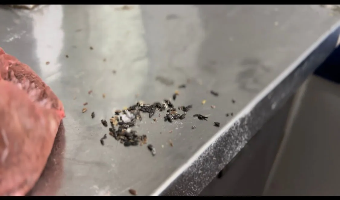 FISCALIZACIÓN 2 eces