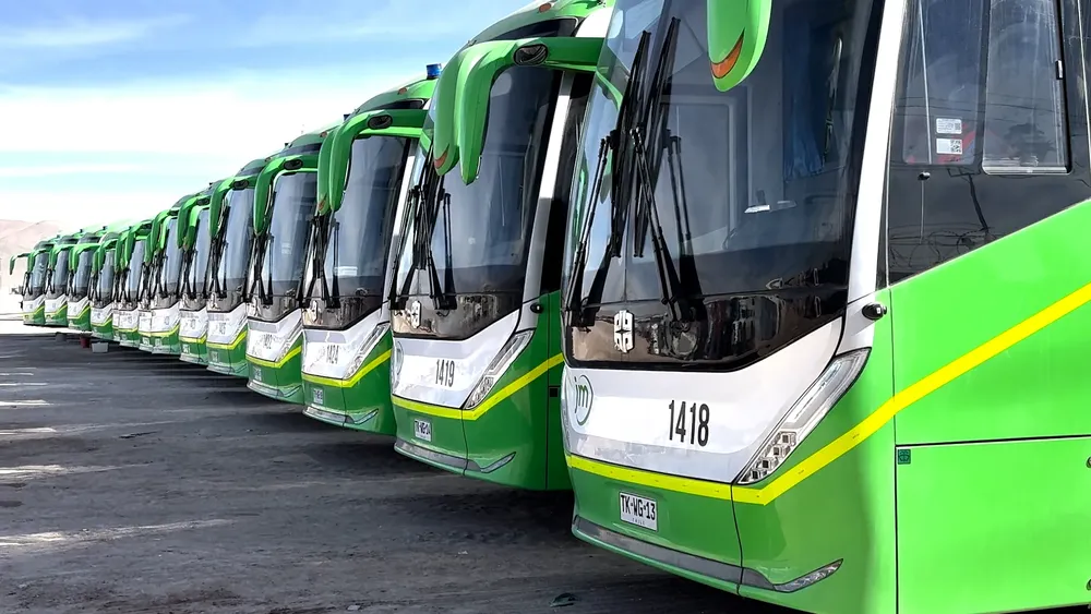 La flota de buses eléctricos de DRT la integran 65 máquinas