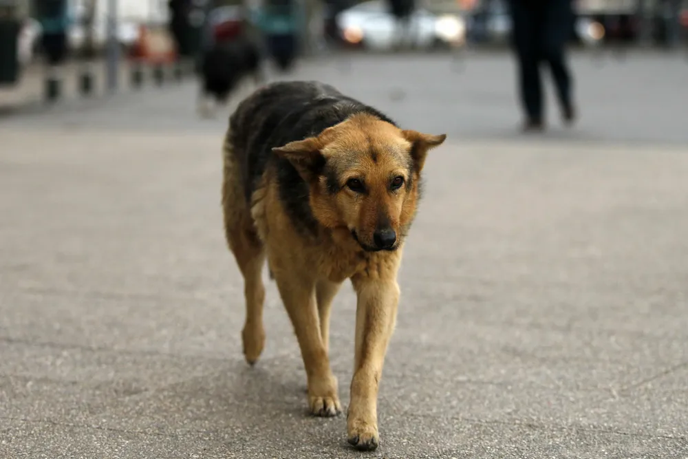 _435875_1_659bf359176ca