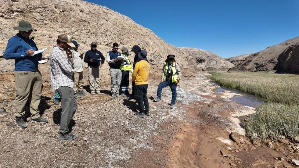 Inspección_Río Loa_humedal_urbano