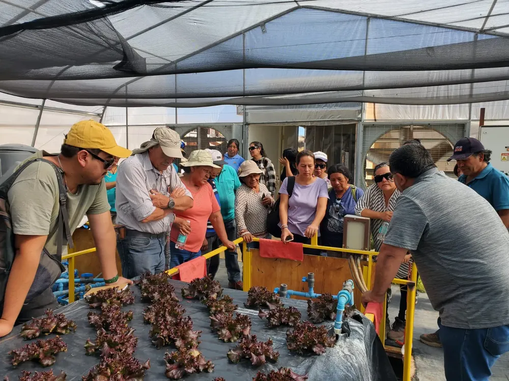 Agricultores_SPA_01