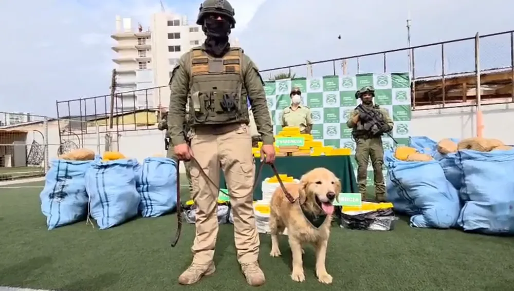 Carabineros y Gino, can antidrogas