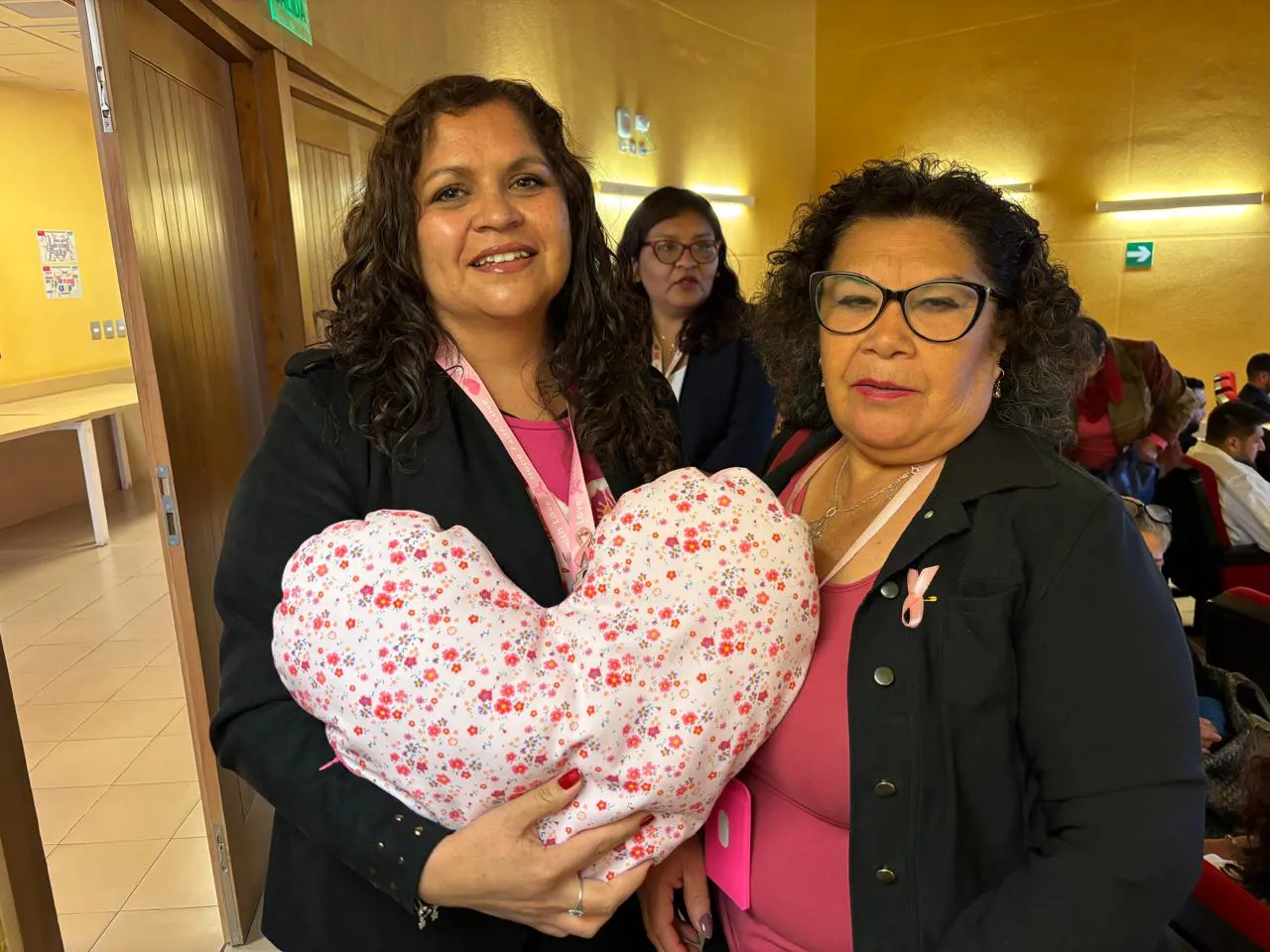 Cojin_Corazon_Calama